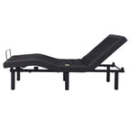 397 lb avec massage à 2 points, double moteur, télécommande sans fil, lit releveur électrique