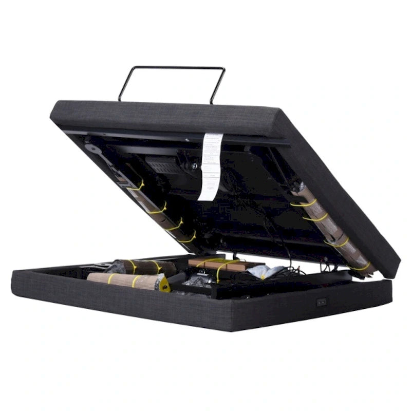 397 lb avec massage à 2 points, double moteur, télécommande sans fil, lit releveur électrique