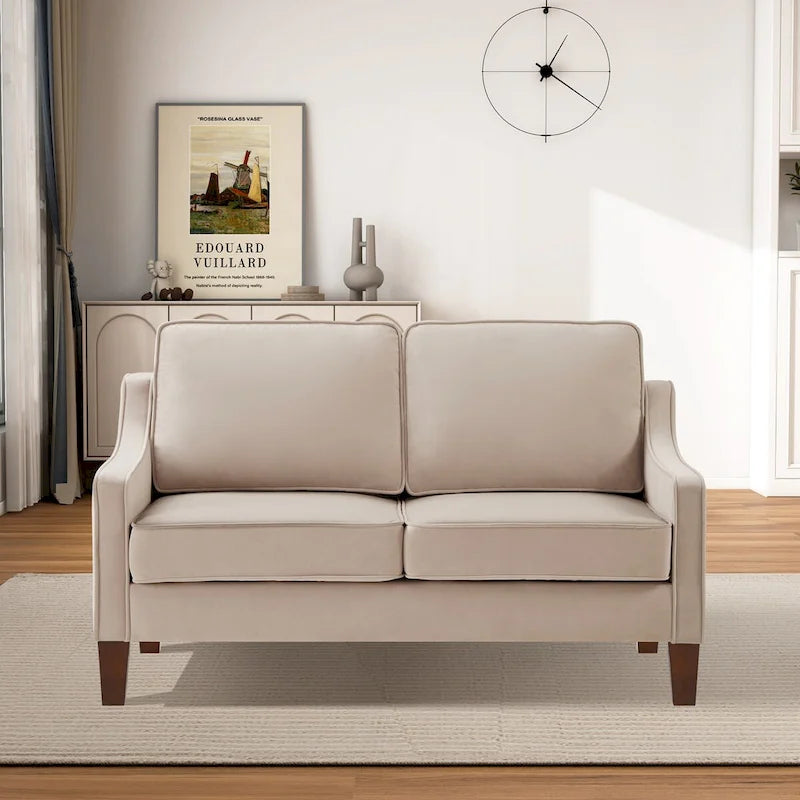 Canapé 2 places moderne en velours pour salon