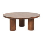Paire élégante de tables basses bohèmes en bois de manguier Sagebrook Home pour intérieurs modernes
