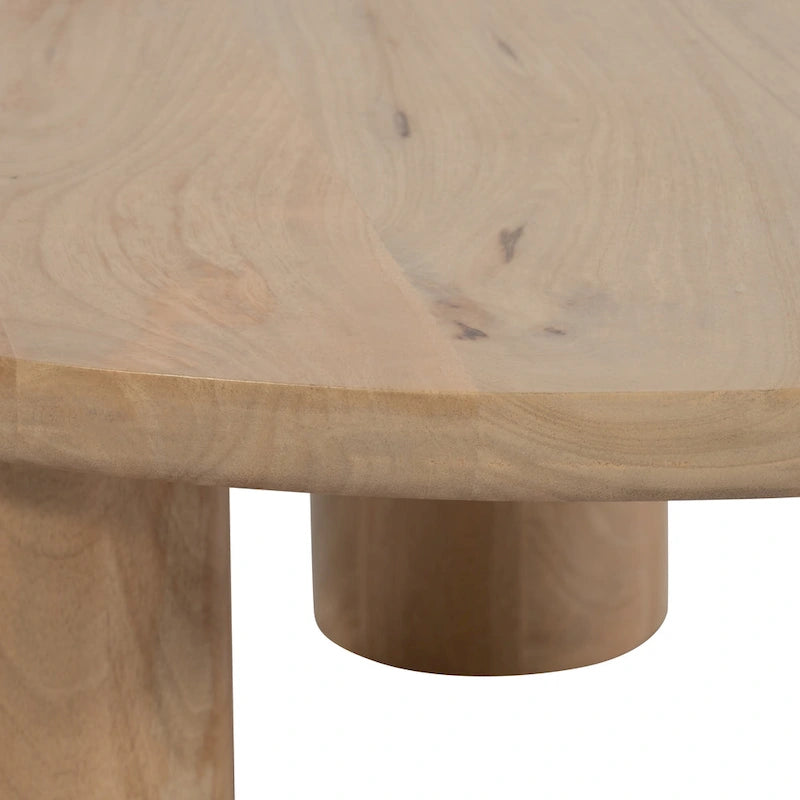 Paire élégante de tables basses bohèmes en bois de manguier Sagebrook Home pour intérieurs modernes