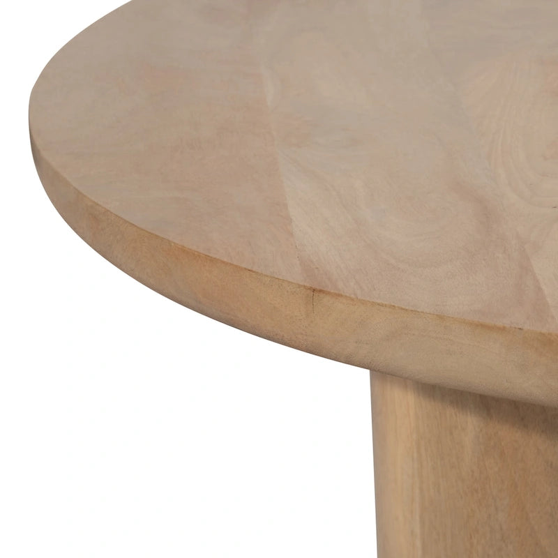 Paire élégante de tables basses bohèmes en bois de manguier Sagebrook Home pour intérieurs modernes